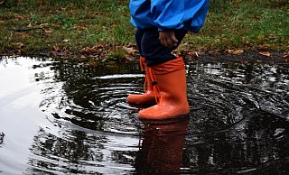Die Regenfälle in den vergangenen drei Monaten haben dazu geführt, dass sich die Grundwasserstände in Detmold wieder erholt haben. - Pixabay