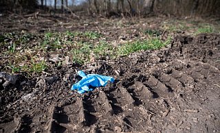 Ein Einmalhandschuh liegt nahe des mutmaßlichen Tatorts. Nachdem ein 13-jähriger Junge tot in der Nähe von Sinsheim gefunden worden ist, gehen die Ermittlungen der Polizei weiter. - Foto: Sebastian Gollnow/dpa