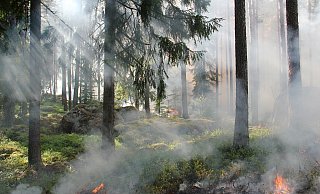 Falls Segelflugpiloten einen möglichen Brand im Wald bemerken, melden sie diesen sofort. - Symbolbild: Pixabay Falls Segelflugpiloten einen möglichen Brand im Wald bemerken, melden sie diesen sofort. - Symbolbild: Pixabay