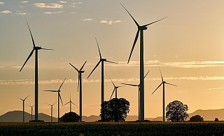 Der Kreis Lippe lehnt den Antrag für sieben Windräder auf der Gauseköte entgültig ab. - Symbolbild: Pixabay