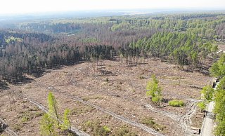 Verödete Flächen im Teutoburger Wald, hier an der Gäuseköte: Klimawandel und lang anhaltende Dürre hat auch in den Wäldern immense Schäden angerichtet und dem Borkenkäfer Angriffsfläche geboten. Stephan Prinz zur Lippe will Laubwald anbauen, während sich Rotoren drehen. - Westfalenwind