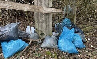 Ein Blomberger hat offenbar illegal abgelegte Müllsäcke in einem Waldstück abseits eines Weges gefunden. Wer kümmert sich jetzt darum, sie zu entsorgen? - LZ-Redaktion