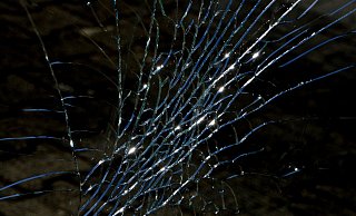 Scheibe an Auto zertrümmert. - Symbolbild: pixabay.com