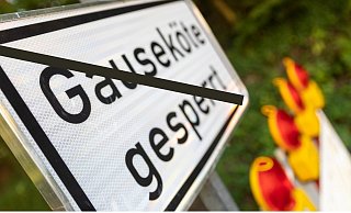 Die Gauseköte ist am Dienstagmittag wieder für den Verkehr freigegeben worden. - Jannik Stodiek/Montage: LZ