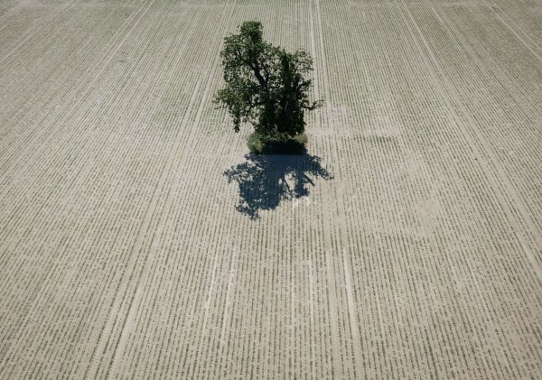 Weite Teile Europas leiden seit Jahren unter zunehmender Wasserknappheit. (Archivbild) - © Boris Roessler/dpa