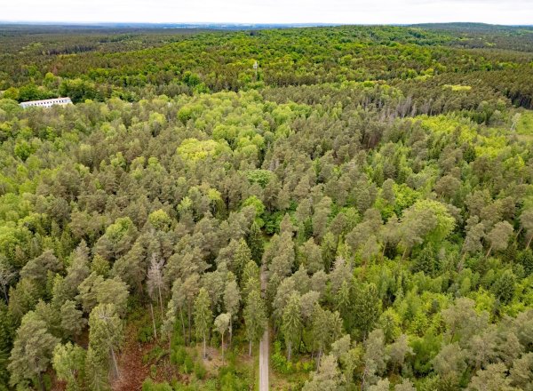 Tod einer 21-Jährigen im Wald - Ermittlungen gegen Jugendlichen wegen Totschlags - © Robert Michael/dpa