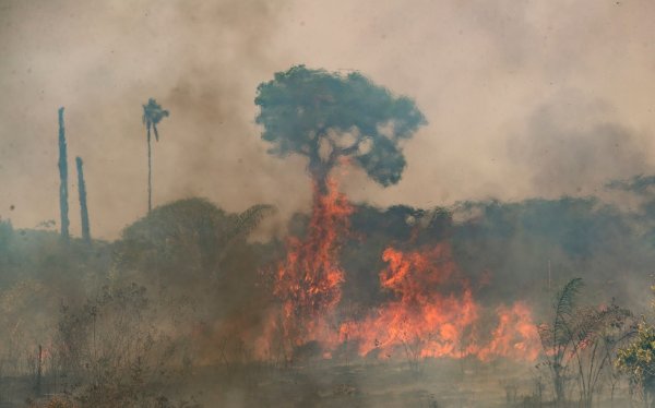Im brasilianischen Amazonasgebiet toben die schwersten Brände seit fast 20 Jahren. - © Andre Penner/AP/dpa
