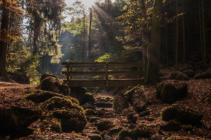 Auf einer kleinen Wanderung durch das Silberbachtal hat LZ-Leser Christian Koch dieses tolle Foto aufgenommen. - &copy; Christian Koch