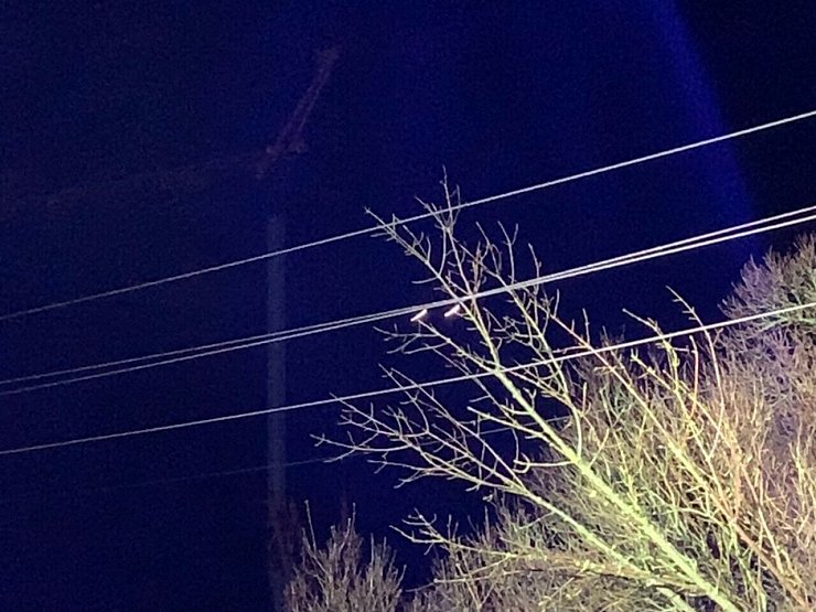 Auf der Salzufler Straße in Wüsten stürzte ein Baum auf eine Stromleitung. Die Stadtwerke mussten die Leitung erst abstellen, bevor die Feuerwehr handeln konnte. - © Feuerwehr Bad Salzuflen