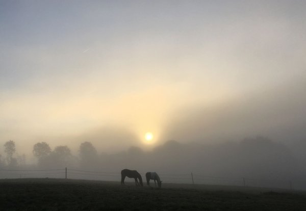 Ein Mix aus Sonne und Nebel steht den Menschen in Nordrhein-Westfalen bevor. (Symbolbild) - © Bernd Thissen/dpa