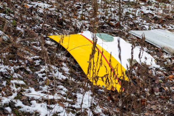 Auf einem Trümmerteil des abgestürzten Flugzeugs sind die DHL-Farben zu sehen. - © Mindaugas Kulbis/AP