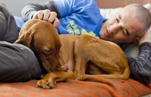 Streicheleinheiten für den Hund - © Foto: Monique Wüstenhagen