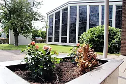 Die Freie evangelische Gemeinde "Lebendige Hoffnung" aus Herford hat Kirche und Gemeindehaus in Ahmsen erworben. In einem Jahr soll das Gemeindehaus zur Hausmeisterwohnung umgebaut werden. - &copy; Foto: Asbrock