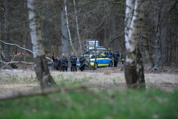 Polizeibeamte stehen mit mehreren Einsatzfahrzeugen nahe eines Tatortes in einem Wald. - © Jonas Walzberg/dpa/Symbolbild