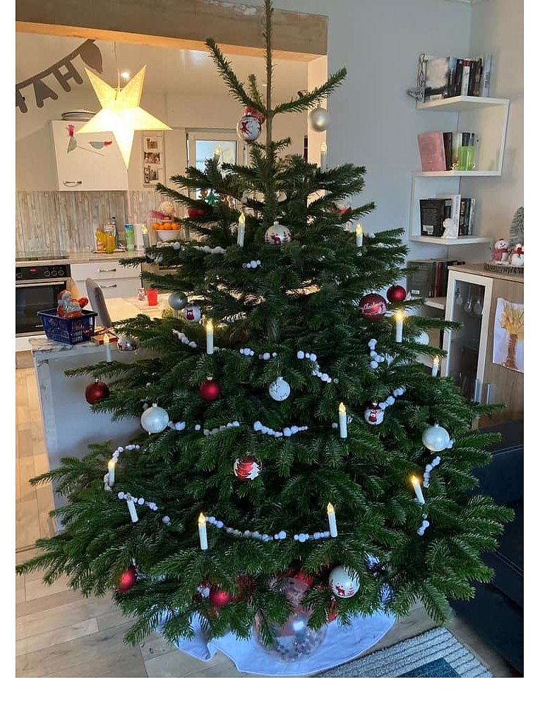Weihnachtsbäume in Lippe