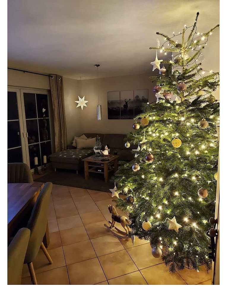 Weihnachtsbäume in Lippe