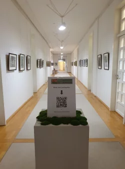 Die Ausstellung „Waldgeheimnisse – eine Reise in das Herz des Landesverbandes Lippe“ ist im Schloss Brake zu sehen. - © Fotos: LVL/Henkel