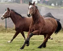 - &copy; Symbolbild dpa