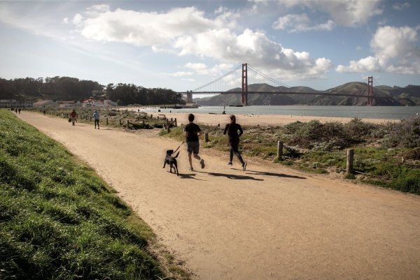 Das Crissy Field in San Francisco war einst ein Militärflugplatz - heute ist es Naturschutzgebiet und beliebtes Ausflugsziel. - © Louis Raphael/SFTA/Louis Raphael/SFTA/dpa