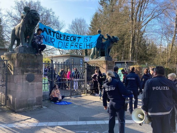 Aktivisten demonstrieren am Nürnberger Zoo gegen die geplante Tötung von Pavianen. - © Sebastian Schlenker/dpa