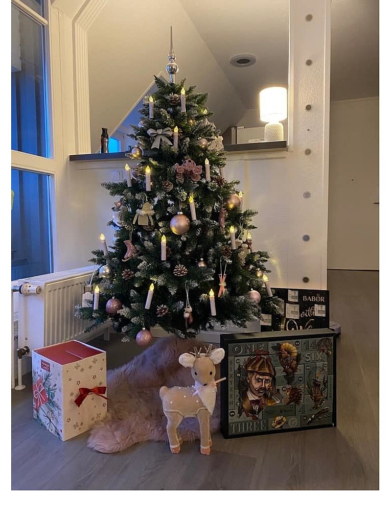Weihnachtsbäume in Lippe