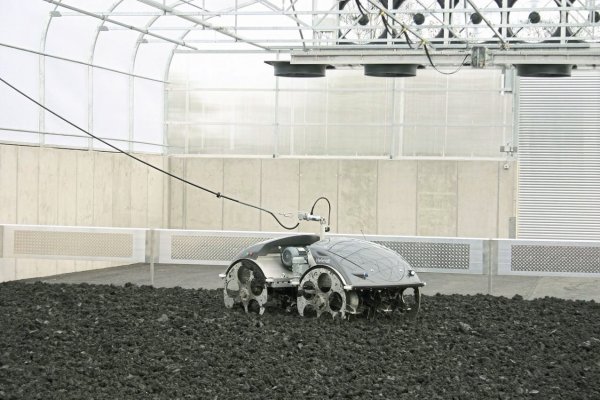 Wühlt im Dreck: Das "elektrische Schwein" durchmischt den trocknenden Klärschlamm immer wieder, bis er genügend eingedampft ist. - © Stadtverwaltung Grünstadt
