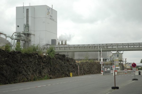 Bestürzende Entwicklung: Bis Ende 2020 will Glunz am Standort Horn die Produktion schließen. Dann würde kein Schornstein mehr qualmen. - © Manfred Brinkmeier
