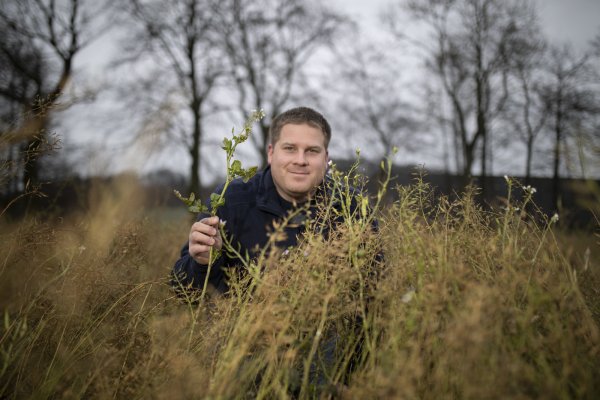 Kai Alteheld hat auf seinem Acker regelmäßig Zwischenfrüchte stehen. Als Beitrag für die Artenvielfalt möchte er im kommenden Jahr einen ganzen Acker wie einen Blühstreifen gestalten. - © Torben Gocke