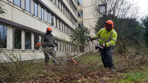 Wetter hin - Wetter her, Raphael Wilhelmi und sein Kollege Sebastian Rittmeister beginnen, das Gestrüpp rund ums Kreishaus wegzuschneiden. Hier wird das Gerüst für die Fassadensanierung stehen. - © Marianne Schwarzer