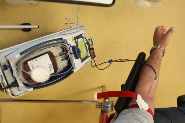 Keine Blutspende: Menschen aus dem Kreis Gütersloh dürfen hier kein Blut spenden. - © picture alliance/dpa