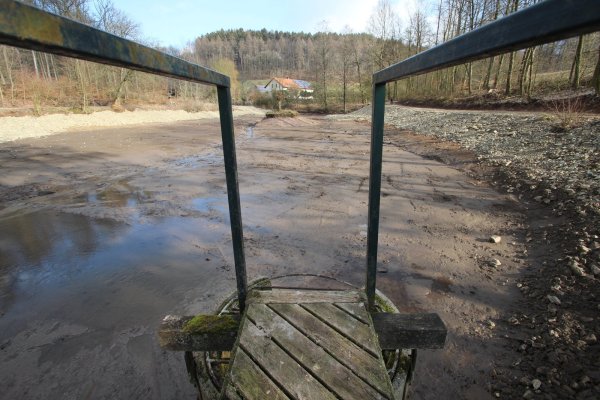 Entschlammt: Mit dem Projekt „Tiere im Dorf 2.0" soll der Dorfteich am Schwelentruper Forsthaus besser erlebbar werden. - © Jens Rademacher(LZ)