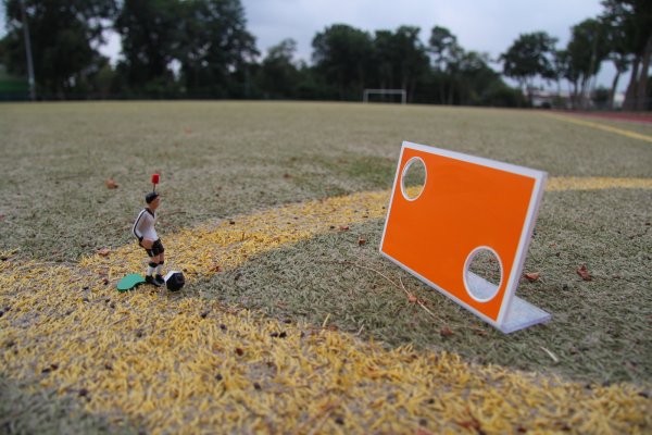 Schuss und Tor: Kunstrasenplätze sind ins Gerede gekommen, weil als Einstreu oft umweltschädliches Mikroplastik verwendet wird. Hier am Heidesportplatz kommt allerdings schlichter Sand zwischen den künstlichen Halmen zum Einsatz - davon hat die Sennegemeinde schließlich reichlich. - © Dieter Asbrock