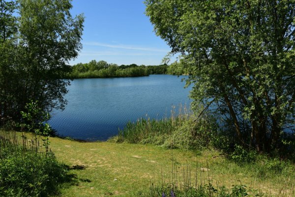 Der Hartingsee in Bad Salzuflen. - © Nicole Ellerbrake