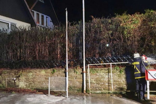 Die abgebrannte Hecke wurde stark gewässert. - © Feuerwehr Lügde