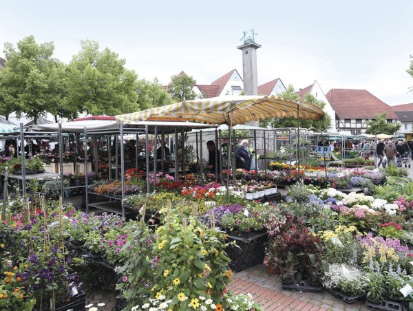 Der Wochenmarkt auf dem Salzhof bleibt aller Voraussicht nach in den Händen des bisherigen Betreibers. - © Paul Cohen