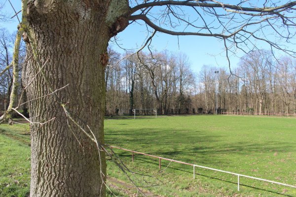 Der Sportplatz Schieder soll grundschulgerecht umgestaltet werden. Die Verwaltung beginnt mit den Planungen. - © Michaela Weiße