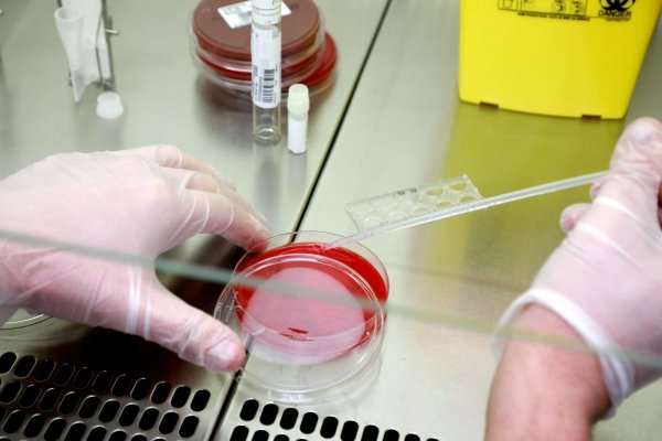 Pathologen fordern mehr Obduktionen von nach einer Corona-Infektion gestorbenen Menschen. - © dpa