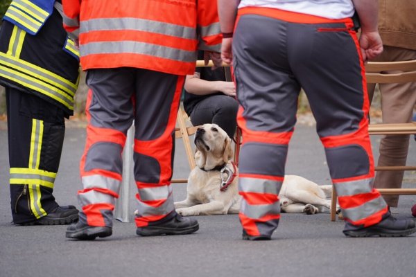Mit gro&szlig;en Augen blickt der Labrador zu seinen Rettern von der Feuerwehr und den Betreuern des DRK auf. - &copy; Freitag TV/Stock