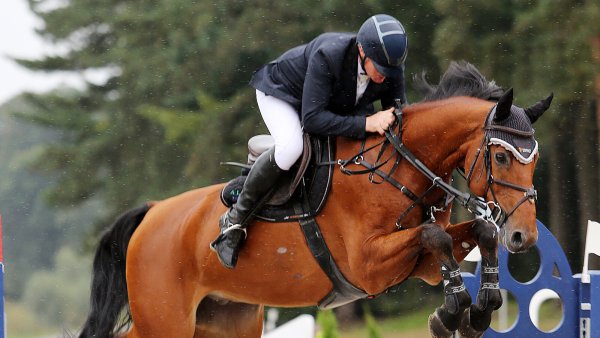 Amtierender Deutscher Meister: Berufsreiter Thomas Brandt auf Coldplay, dem Pferd von Tim Rieskamp-Goedeking. - © Egon Bieber