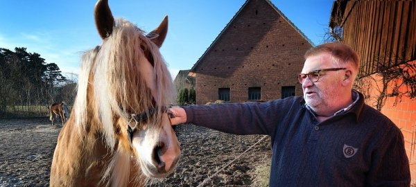 Hans-Peter Venjacob - hier mit Haflingerstute Amy - weiß, wie schwer der Abschied von einem geliebten Tier fällt. - © Andreas Frücht (NW)