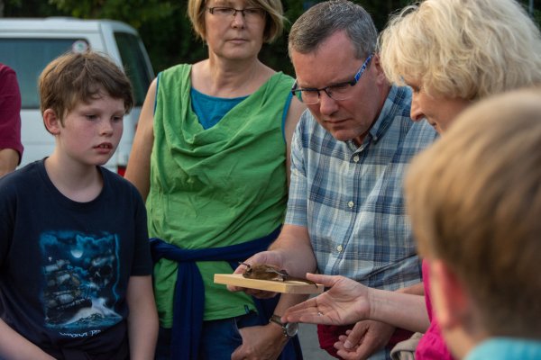 Prüfender Blick: (von links) die Exkursionsteilnehmer Mattes, Mareile und Matthias Niederkrüger sowie Ute Müller begutachten ein Abendsegler-Präparat. - © Raphael Bartling