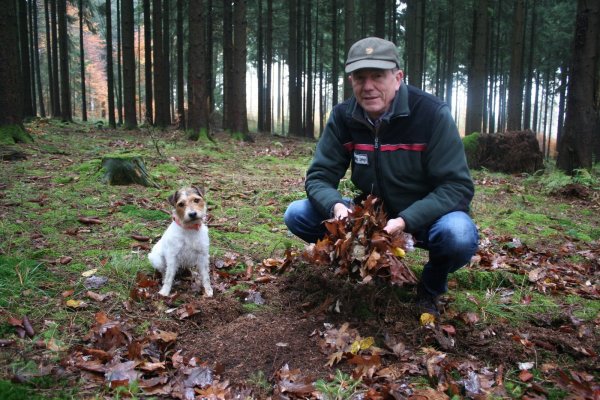 Oberförster Hans-Friedrich Meiercord hält Laub in der Hand. Künftig soll es mehr Wald in Lemgo geben. - © Kirsten Fuhrmann