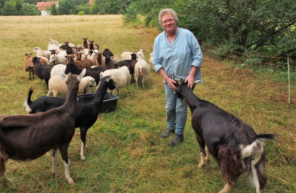 Stefanie Rzepka mit Teile ihrer "Mitarbeiter". Die Thüringer Waldziegen sind sehr neugierig, die kleine Skudden eher zurückhalten. "Die Tiere nicht füttern", bittet die Schäferin Wanderer. - © Tanja Andersen