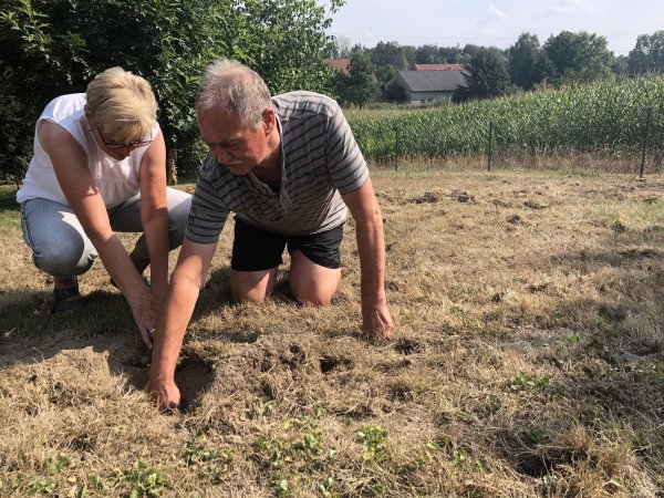 Sind beinahe am Verzeifeln: Carola und Gerd Bollhöfer finden fast an jedem Morgen neue Löcher auf ihrem rund 1000 Quadratmeter großen Grundstück. Manche sind bis zu 20 Zentimeter tief. - © Thomas Reineke