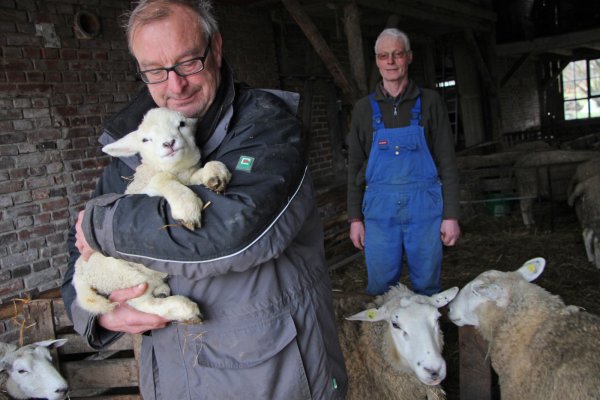 Fürsorglich: Das Wohl der Tiere liegt Andreas Tünker (links) besonders am Herzen. Landwirt Friedrich Arning weiß, dass er sich auf den Mitarbeiter der Lebenshilfe-Werkstätten verlassen kann, der bei ihm auf dem Hof kräftig anpackt. Foto: Katrin Kantelberg - © Katrin Kantelberg
