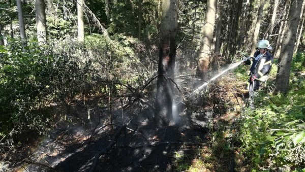 Flächenbrand Dörentrup Schwelentrup am Waldrand. - © Feuerwehr Dörentrup