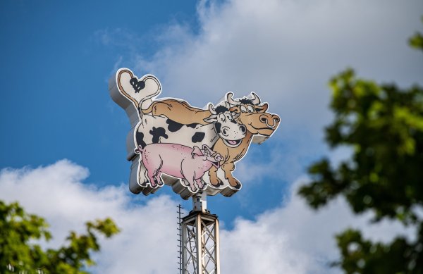 Vier Teile der fiktiven Serie sind bis jetzt geplant. - © Symbolfoto/picture alliance