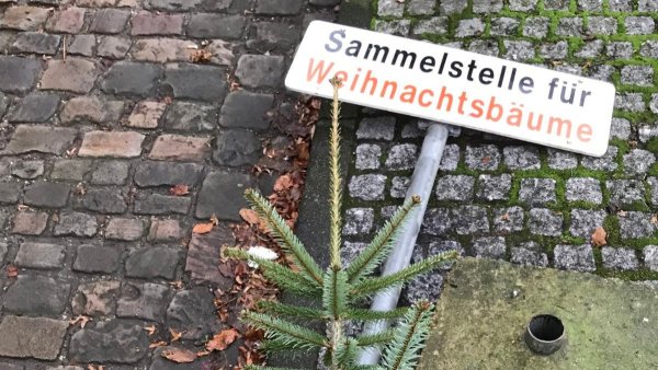 Spotted: Vor dem Café Weber in Lemgo wird gesammelt. - © Archivfoto: Tanja Watermann