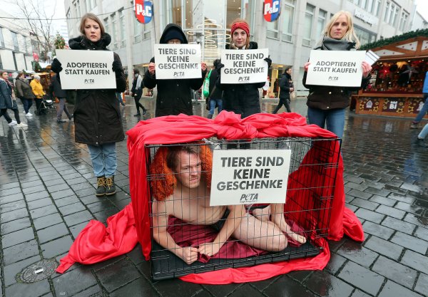 Rabea (v. l.), Anne, Anne-Sophie und Elisa unterstützen Jens Vogt (im Käfig) beim Protest gegen das Leid der Tiere als Weihnachtsgeschenke. - © Wolfgang Rudolf
