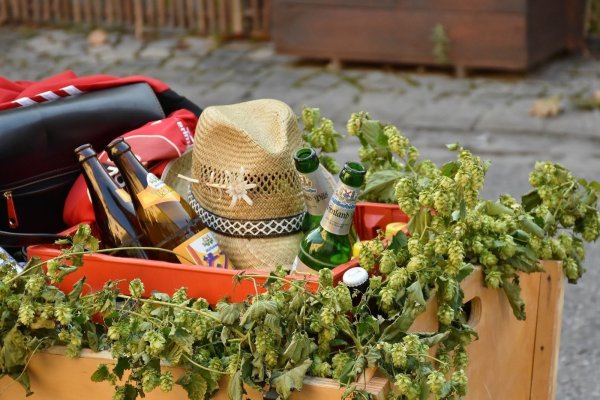 Mit dem Bollerwagen losziehen, das ist keine gute Idee (Symbolbild). - © Pixabay